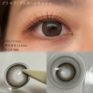 [1Day]Primore Pri Girl Camel プリモア プリガールキャメル